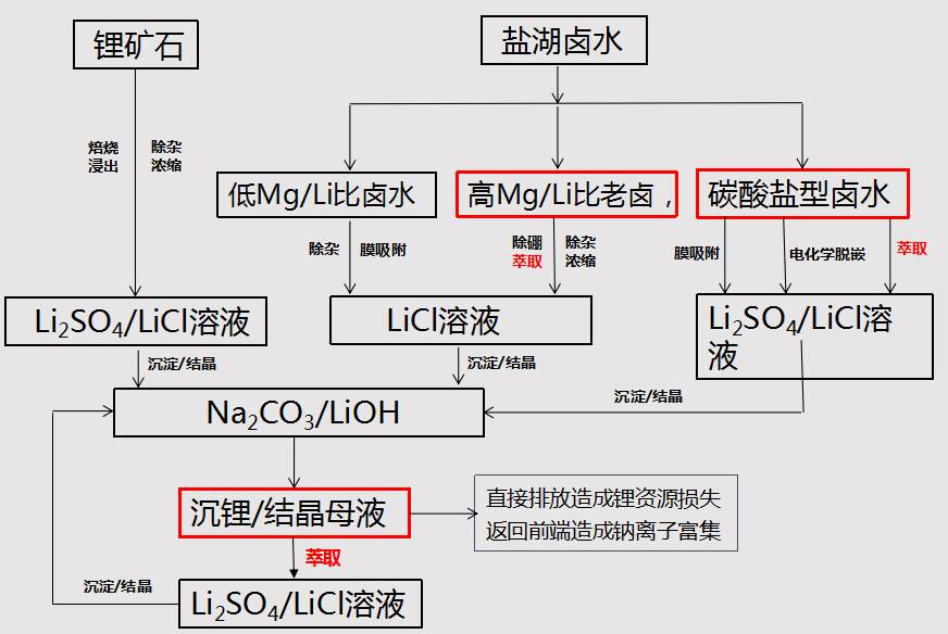 【高峰论坛】刘麦女：溶剂萃取技术在锂资源综合利用领域的应用(图3)