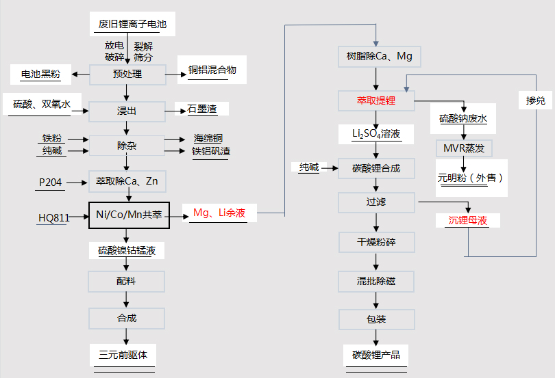 【高峰论坛】刘麦女：溶剂萃取技术在锂资源综合利用领域的应用(图4)